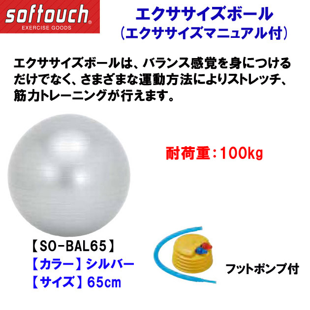 家トレグッズ ソフタッチ/バランスボール/エクササイズボール エクササイズボール SO-BALL65 SLV 65cm(カラー:SLV×サイズ:65cm)