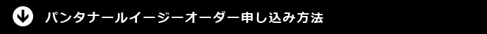 パンタナルイージーオーダー申し込み方法
